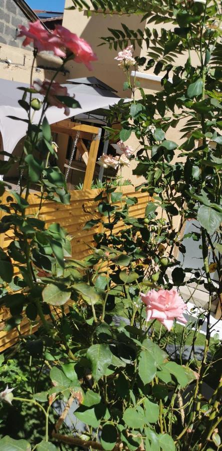 Lyon Superbe Jacuzzi Vue Sur Jardin Apartment Villeurbanne Exterior photo