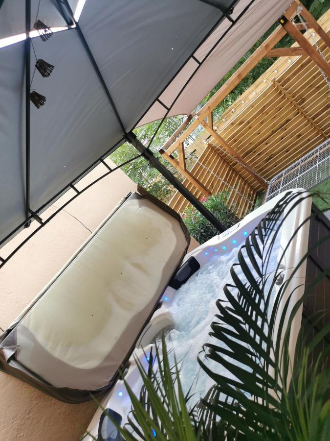 Lyon Superbe Jacuzzi Vue Sur Jardin Apartment Villeurbanne Exterior photo